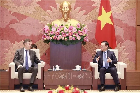 越南国会主席王廷惠会见欧洲议会外交事务委员会主席大卫·麦卡利斯特