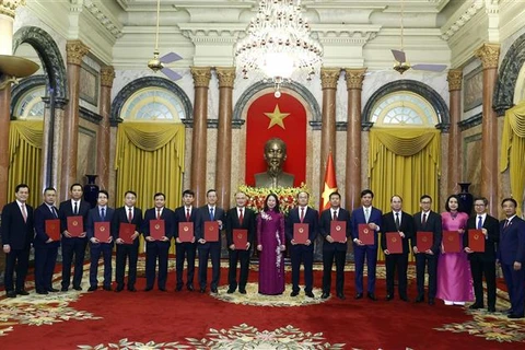 越南国家代主席向15位新任驻外大使颁发任命书