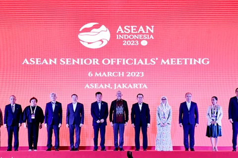 越南代表出席东盟高官会和东盟协调委员会工作小组第十五次会议