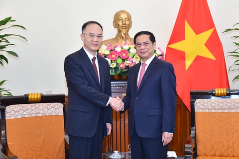 越南外交部领导与中国外交部部长助理农融举行会见和会谈