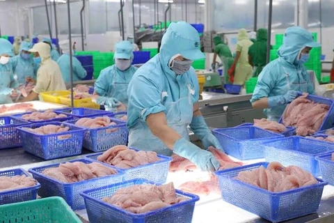 越南查鱼企业预计将在2023年第三季度恢复增长