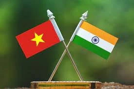 越南出席在印度召开的第28届伙伴关系峰会