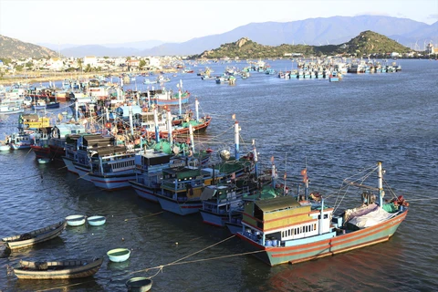 东盟努力发展可持续渔业