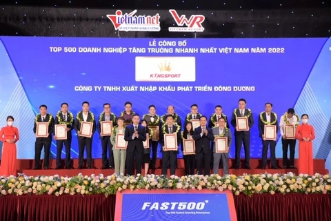 2023年越南增长最快企业500强榜单出炉