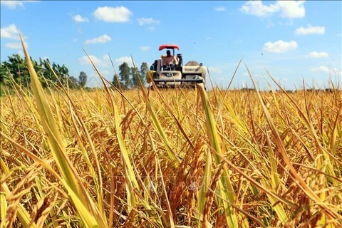 百万公顷优质稻米专产与绿色增长相得益彰提案公开征求意见
