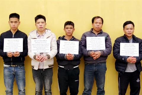 组织外籍人员非法入境越南 5人被起诉
