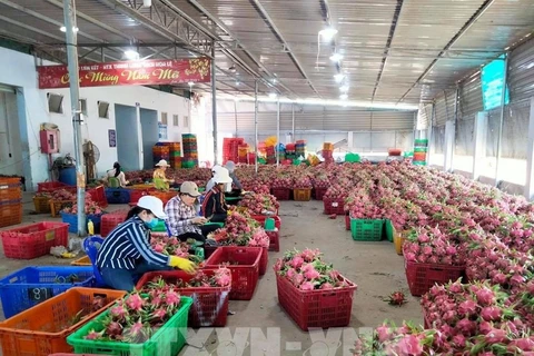 越南农产品如何进军日本市场
