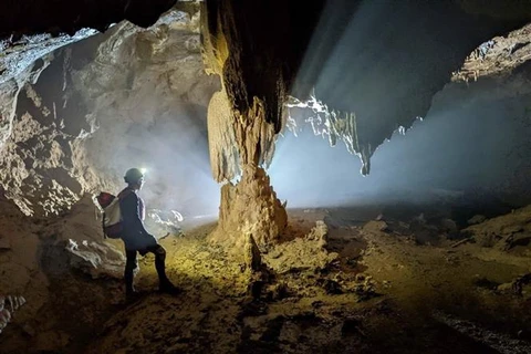 广平省新发现5个原始洞穴