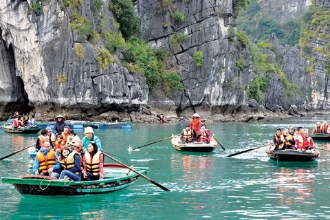 截至2023年第一季度末越南国际游客接待量超过269万人次