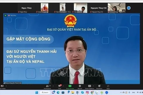 越南驻印度大使与旅居印度和尼泊尔越南人代表举行视频会晤
