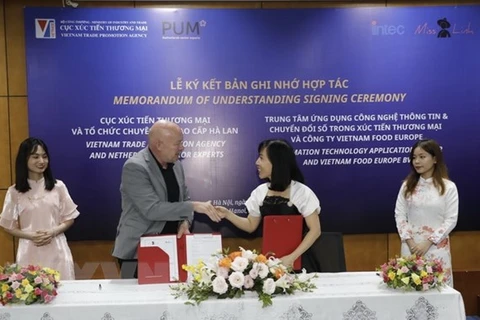 越南与荷兰促进电子商务合作
