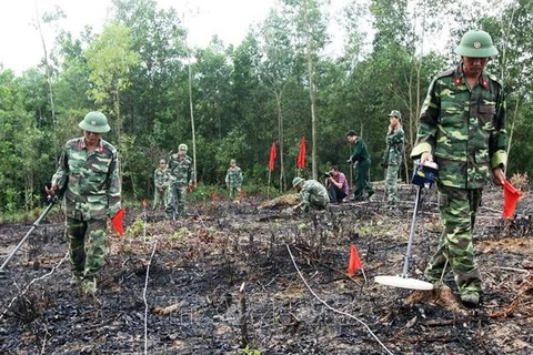 越南努力扫雷，清理土地，保障民生