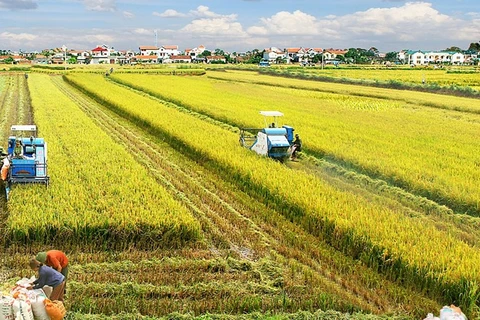越南农业与农村发展部部长黎明欢：农业经济离不开合作社