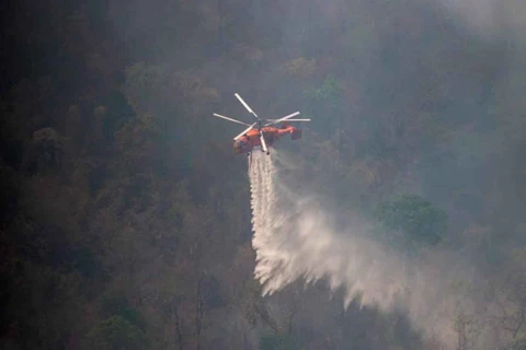森林火灾威胁着泰国的考艾国家公园