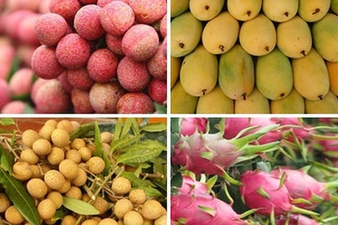 越南向澳大利亚出口四种新鲜水果