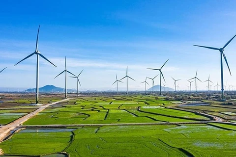 越南绿色增长：力争将绿色经济规模增至2050年的3000亿美元