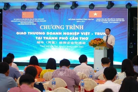 越中经贸企业交流会在芹苴市举行