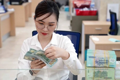 4月21日上午越南国内市场美元价格稳定，人民币价格涨跌互现