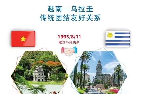  巩固越南与乌拉圭之间的友谊 