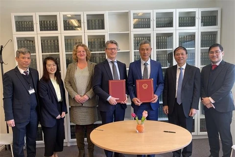 促进越南与荷兰的国际法治合作 