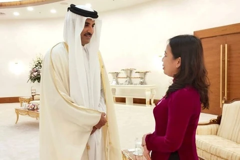 越南驻卡塔尔大使陈德雄：越卡双边合作关系潜力巨大