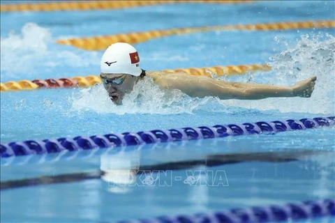 第32届东运会：越南游泳、马拉松、越武道运动员夺得金牌