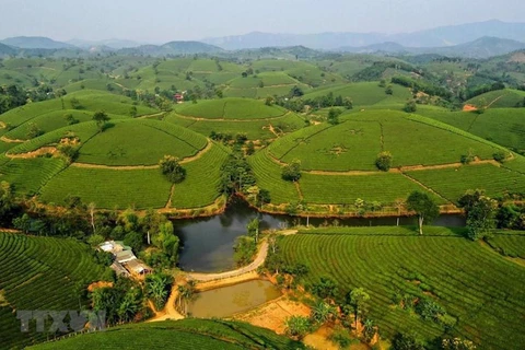 “越南农业旅游房地产投资促进”座谈会即将举行
