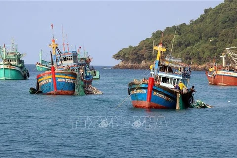 维护海岛安全 打击非法捕捞