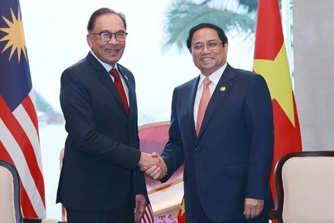 第42届东盟峰会：越南政府总理范明政会见马来西亚总理安瓦尔·易卜拉欣