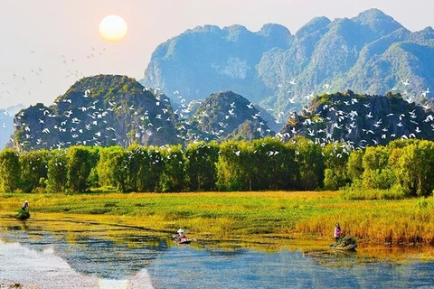 越南着力保护和可持续利用湿地资源
