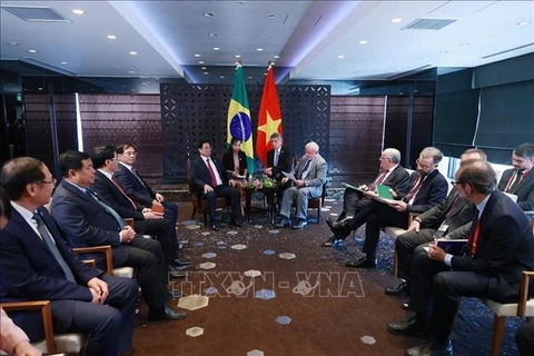 越南政府总理范明政会见巴西总统和乌克兰总统