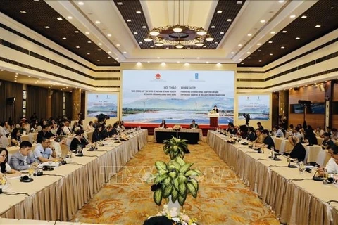 越南希望在公平能源转型中加强国际合作