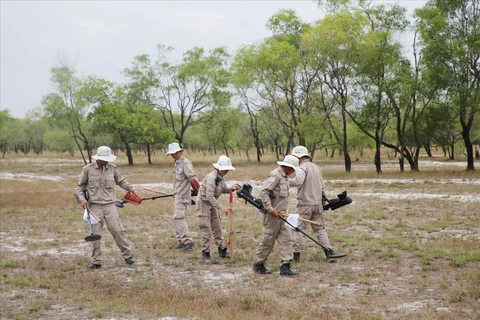 广南省与美国越南战争退役军人协会在战争后重建方面加强合作