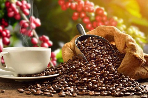 2023年越南咖啡出口有望刷新记录