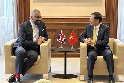越南积极促进与英国、中国香港和立陶宛的合作