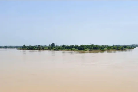 越南国家主席就尼日尔河翻船事故向尼日利亚总统致慰问电
