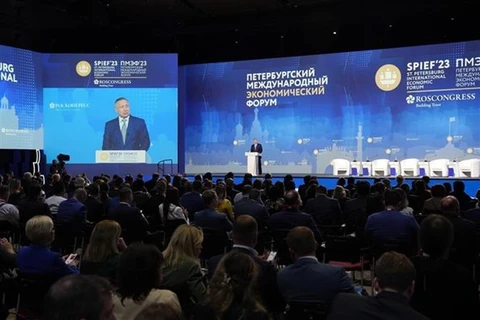 圣彼得堡国际经济论坛就促进东盟与欧亚经济委员会之间的关系进行讨论