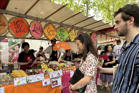 热闹非凡的越南街头美食节亮相法国