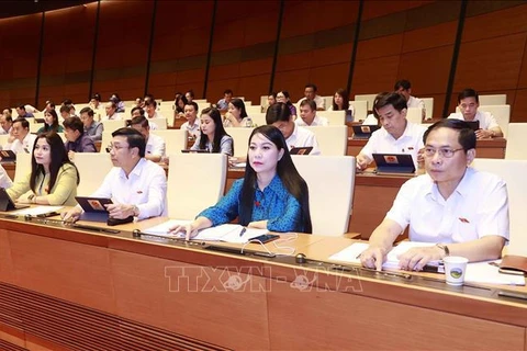 越南第十五届国会第五次会议：通过《电子交易法》（修正案）
