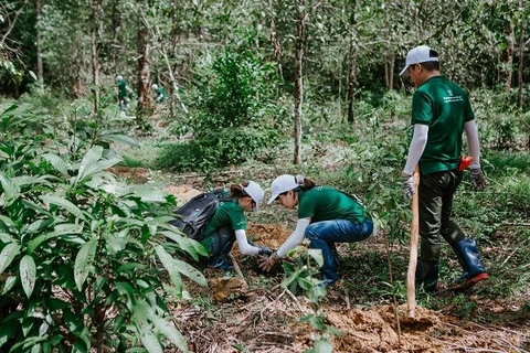 雀巢与越南合作共同促进可再生和低碳农业的发展