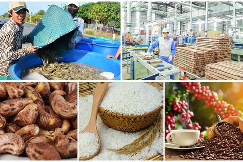 越南2023年上半年农林渔业产品贸易顺差达46.3亿美元
