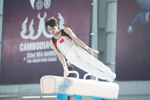 国际体操联合会愿支持越南体操迈上新高度