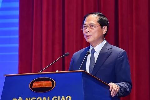 越南外交部召开2023年上半年工作总结会议