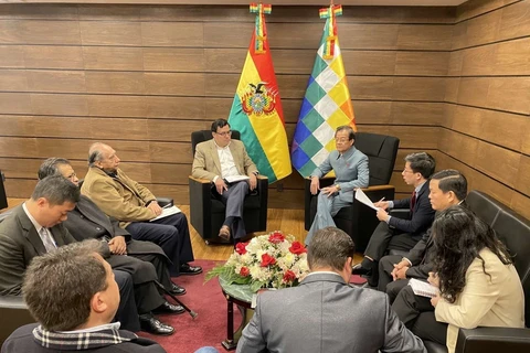 越南共产党代表团对玻利维亚进行工作访问