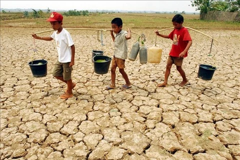 印尼政府协助人们应对厄尔尼诺造成的旱情