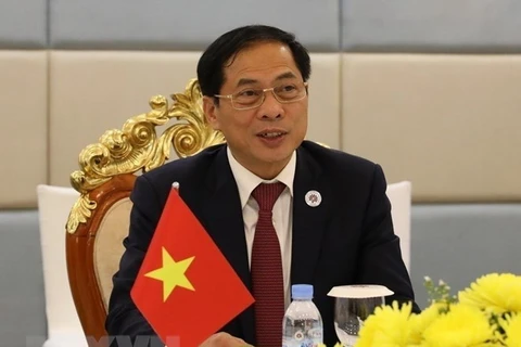 越南外交部长裴青山出席应对合成毒品威胁在线会议
