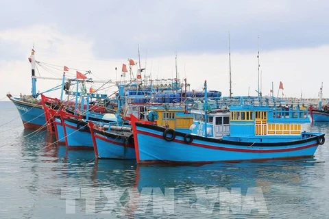 越南严厉打击非法、不报告和不管制捕捞行为