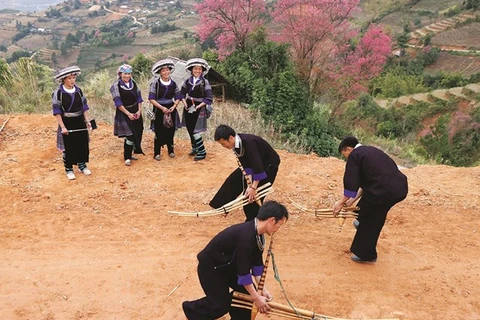安沛省木江界县致力保护与弘扬芦笙文化价值 