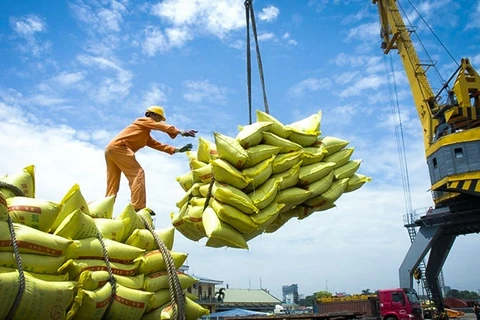 越南大米出口：实现市场多样化 使大米出口加速冲刺