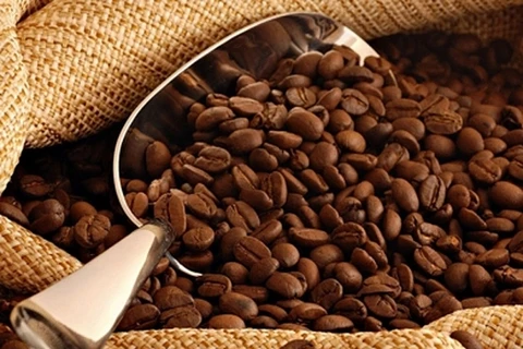 越南对印度尼西亚和阿尔及利亚的咖啡出口额呈三位数增长